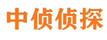 佛山出轨调查